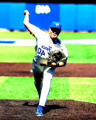 Air Force Falcons Baseball Corvallis