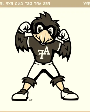 2026 Air Force Falcons Football Season Tickets (Includes Tickets To All Regular Season Home Games)
