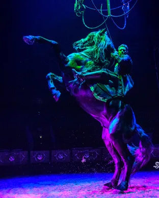 Cirque Ma'Ceo Parker
