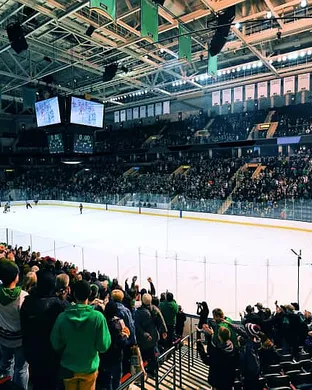 Denver Pioneers Hockey Colorado Springs