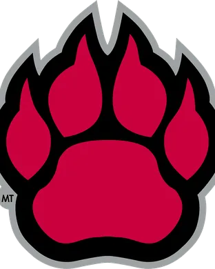 Northern Illinois Huskies vs. Air Force Falcons