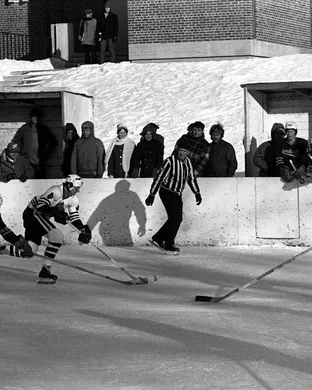 St Cloud State Huskies Colorado Springs